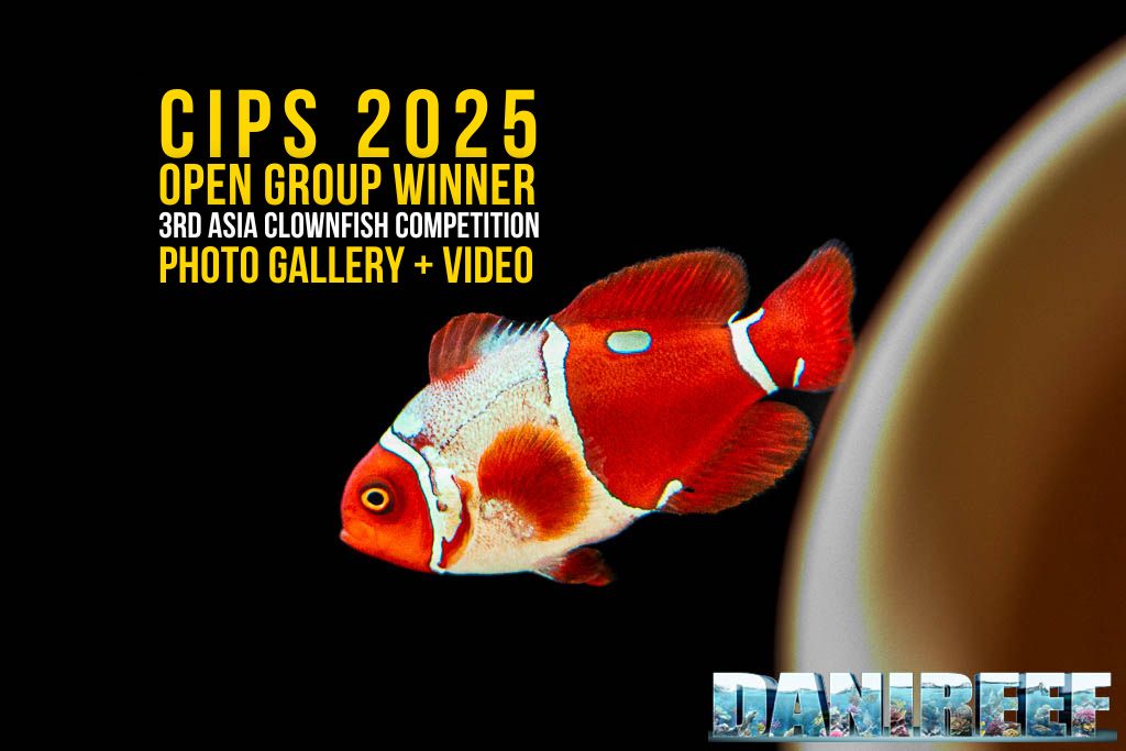 Our cover for this article