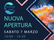crystal reef riapre a cerea: inaugurazione sabato con gnc oceanlife