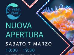 crystal reef riapre a cerea: inaugurazione sabato con gnc oceanlife