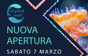 crystal reef riapre a cerea: inaugurazione sabato con gnc oceanlife