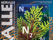 Koralle 157: la denitrificazione in acquario al centro del nuovo numero