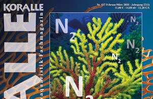 Koralle 157: la denitrificazione in acquario al centro del nuovo numero Image