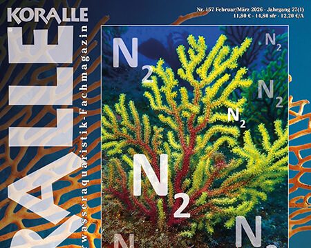 Koralle 157: la denitrificazione in acquario al centro del nuovo numero