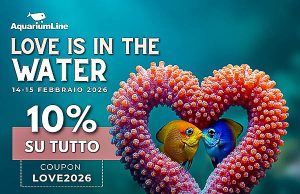 Sconto del 10% per San Valentino su AquariumLine