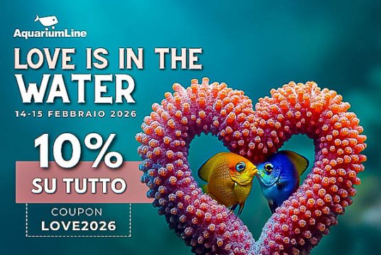Sconto del 10% per San Valentino su AquariumLine