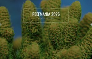 Solo coralli a ReefMania in Germania espositori e guida alla fiera