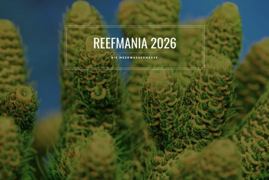 Solo coralli a ReefMania in Germania espositori e guida alla fiera