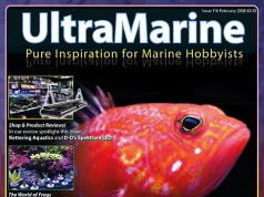 UltraMarine Magazine 116: Plectranthias pelicieri e LED Spektrum