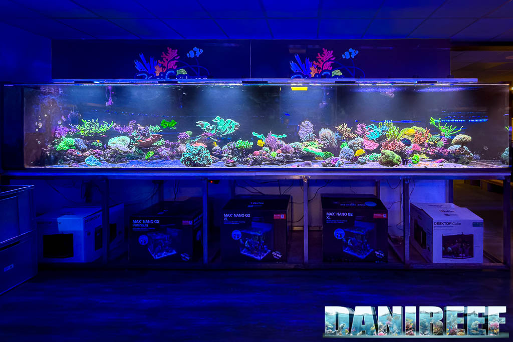 Lo spettacolare acquario da 5 metri illuminato dalle italianissime plafoniere GNC BluRay X