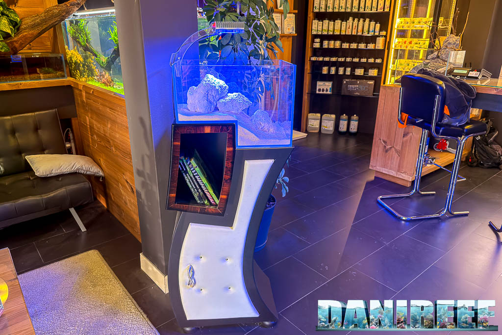Uno dei tanti acquari estrosi creati da Mirko