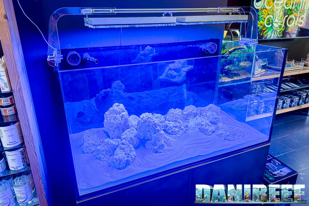 L'acquario marino che sta per partire con plafoniere GNC BluRay X