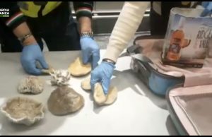 3 kg di coralli in valigia dalle Mauritius: coppia multata a Malpensa