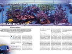 Koralle 158 ci mostra l’acquario di Simone Gigi Reef Project