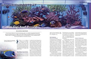 Koralle 158 ci mostra l’acquario di Simone Gigi Reef Project