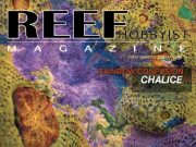 Reef Hobbyist Magazine torna nel 2026: nuovo numero della rivista