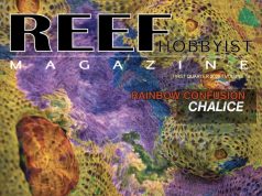 Reef Hobbyist Magazine torna nel 2026: nuovo numero della rivista