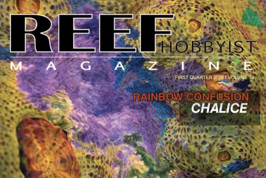 Reef Hobbyist Magazine torna nel 2026: nuovo numero della rivista