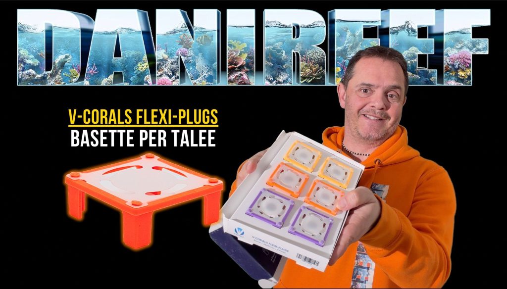 La nostra copertina sull'articolo dei V-Corals Flexi-Plugs