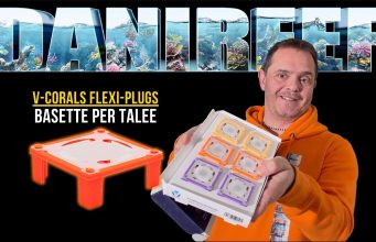 Flexi-Plugs V-Corals: frag plug flessibili per talee di coralli