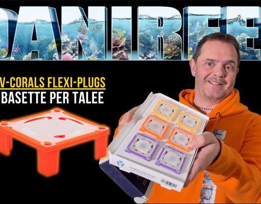 Flexi-Plugs V-Corals: frag plug flessibili per talee di coralli