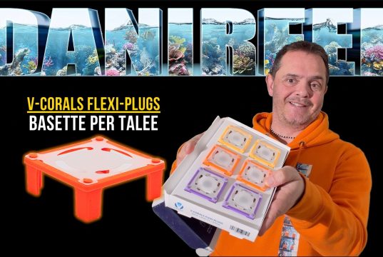 Flexi-Plugs V-Corals: frag plug flessibili per talee di coralli