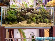 Visita ad AcquarioMania a Macerata: il nostro video tour