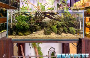 Visita ad AcquarioMania a Macerata: il nostro video tour