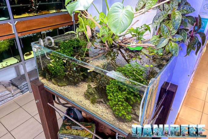 Visita ad AcquarioMania a Macerata: il nostro video tour