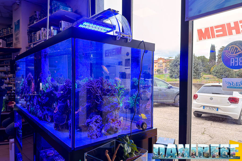 Grande acquario marino esposto nel negozio AcquarioMania di Macerata