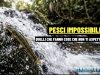 Parakneria thysi: il pesce che risale le cascate