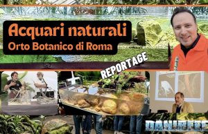 Acquari Naturali all’Orto Botanico di Roma: il cambio di passo