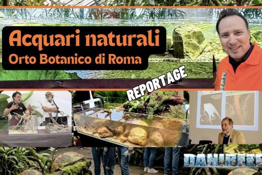 Acquari Naturali all’Orto Botanico di Roma: il cambio di passo