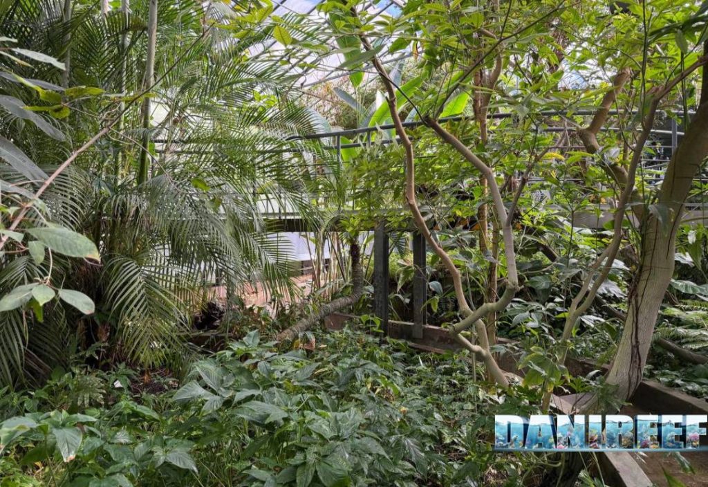 Serra tropicale dell'Orto Botanico di Roma