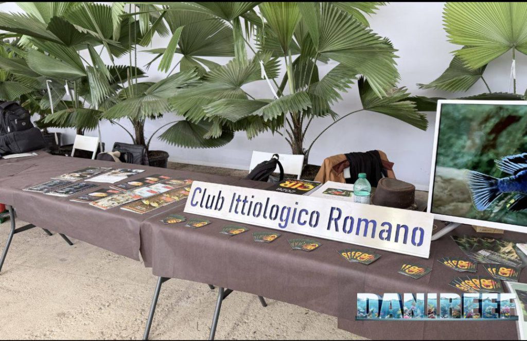 Stand del CIR ad Acquari Naturali