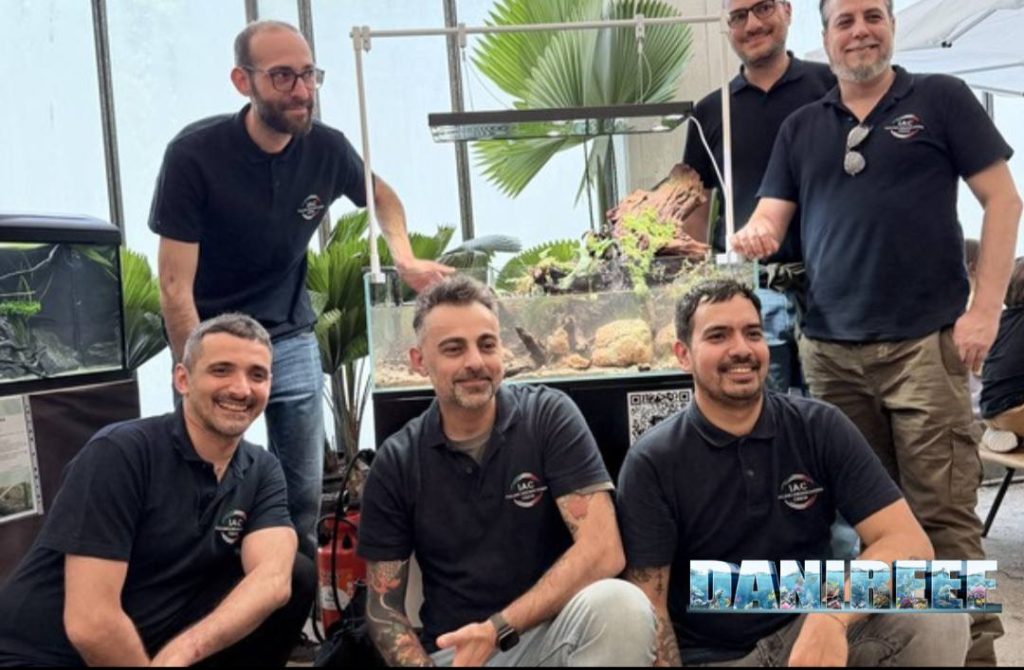 Staff IAC con acquario per Carinotetraodon travancoricus