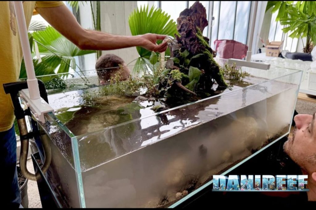 Aquascaping shallow in allestimento by IAC