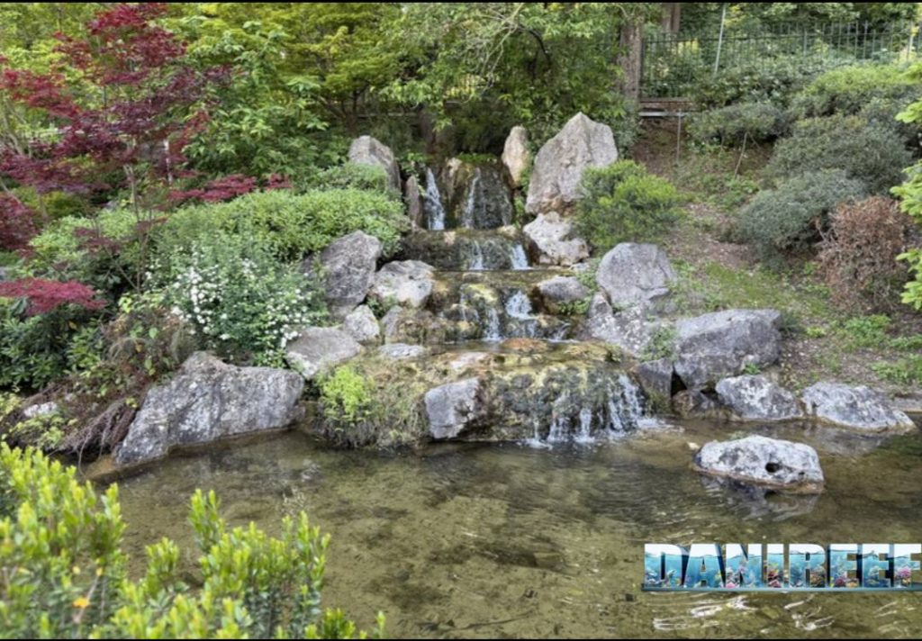 Laghetto giapponese dell'Orto Botanico