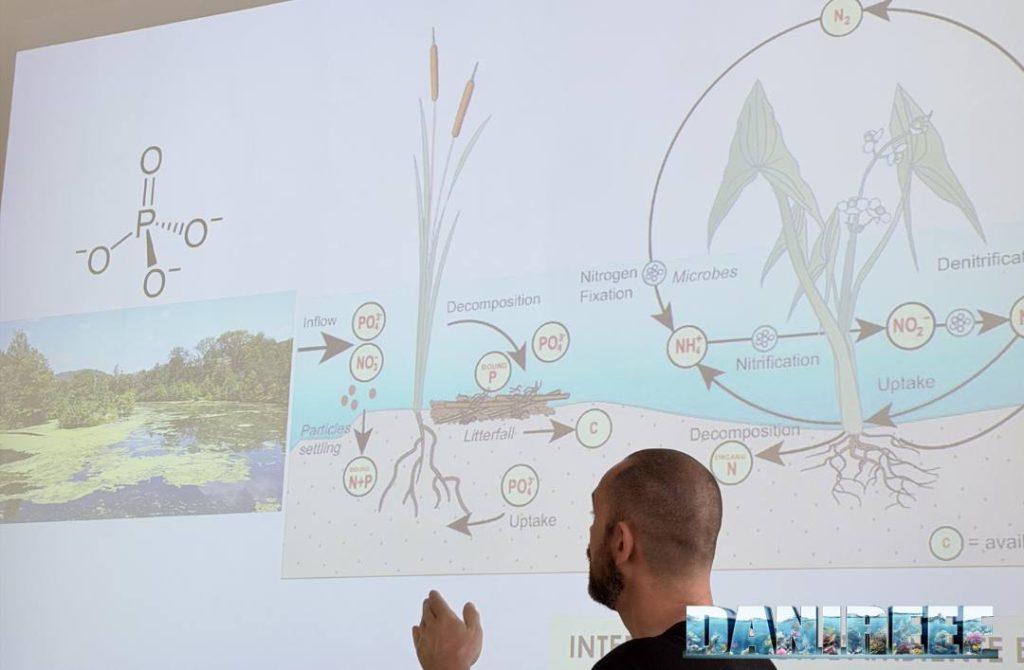 Slide con ciclo del fosforo e dell'azoto mostrata durante la conferenza di Andrea Vannini