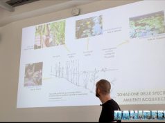 Andrea Vannini a Acquari Naturali: il ruolo delle piante acquari naturali orto botanico roma (47)