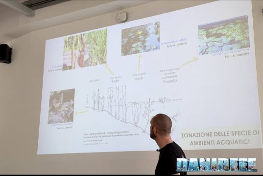Andrea Vannini a Acquari Naturali: il ruolo delle piante acquari naturali orto botanico roma (47)