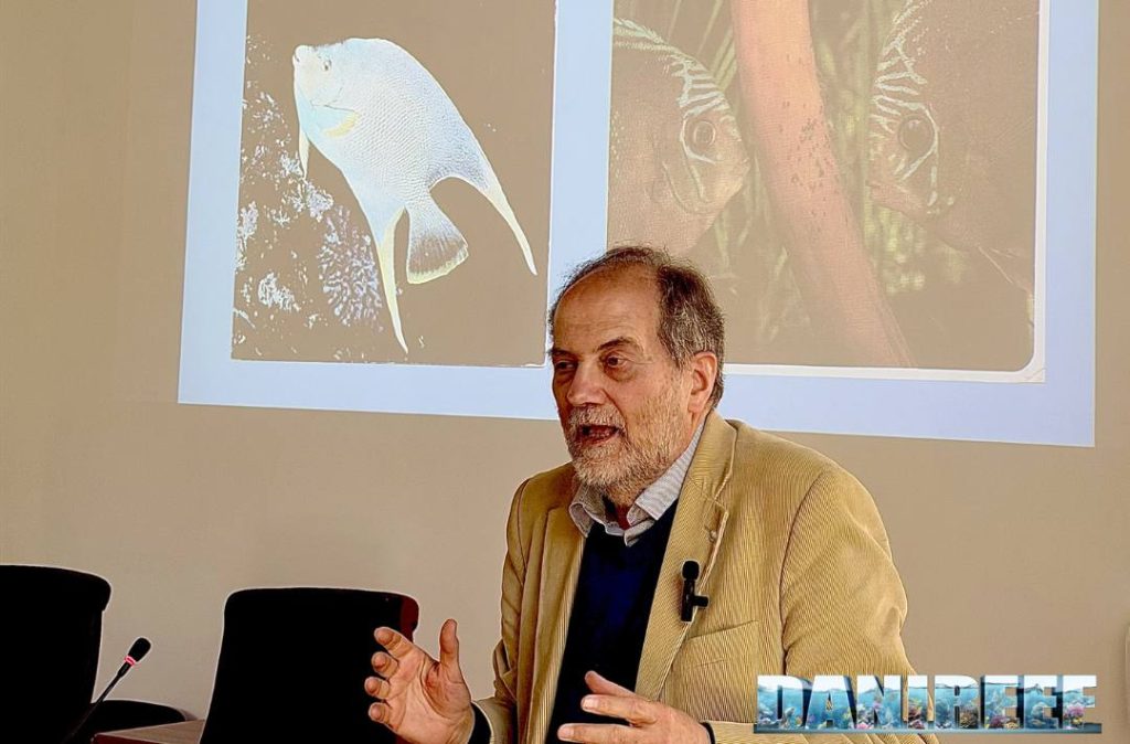 Luciano Di Tizio in conferenza