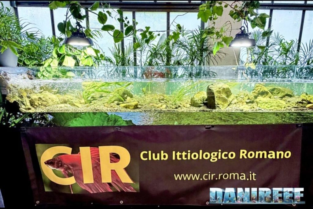 Grande acquario fluviale del CIR
