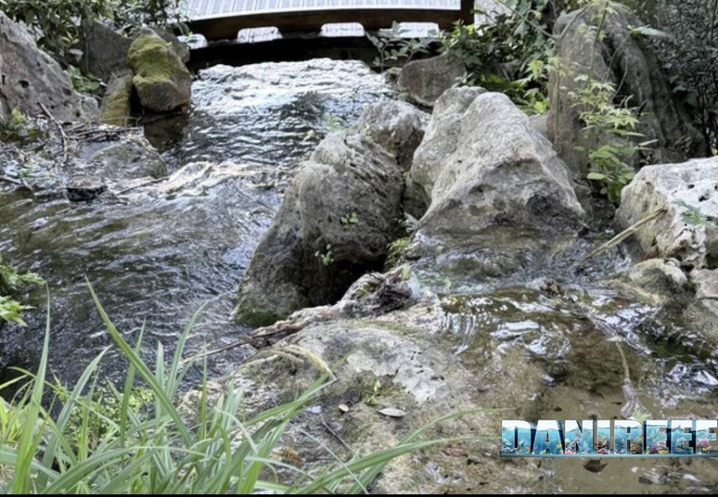 Percorso d'acqua del laghetto giapponese