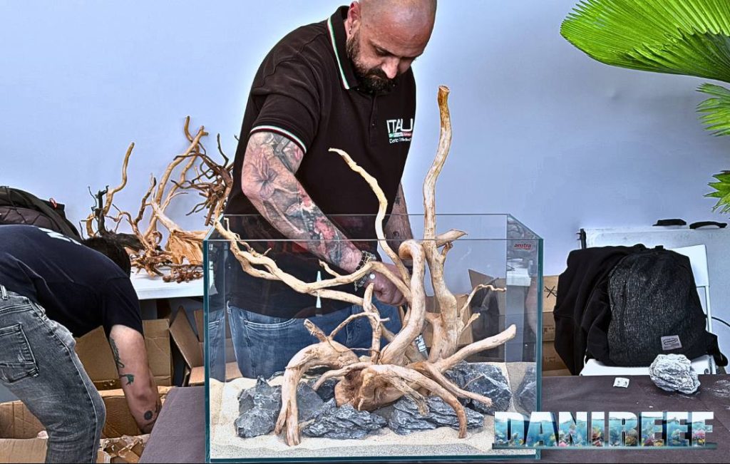 Hardscape by ITAU