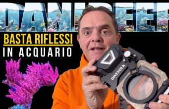 DiveVolk Seatouch 4 Max Plus: fotografare l’acquario senza riflessi