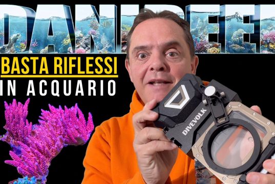 DiveVolk Seatouch 4 Max Plus: fotografare l’acquario senza riflessi