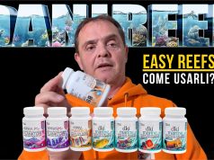 Come alimentare coralli e pesci: la guida pratica con Easy Reefs