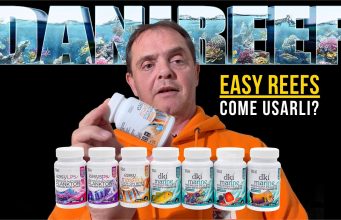 Come alimentare coralli e pesci: la guida pratica con Easy Reefs