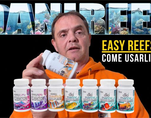 Come alimentare coralli e pesci: la guida pratica con Easy Reefs