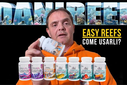 Come alimentare coralli e pesci: la guida pratica con Easy Reefs